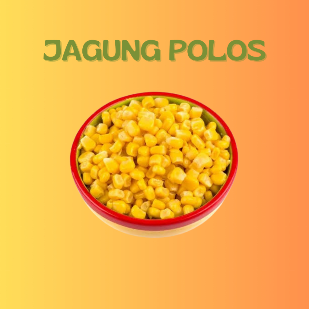 

Jagung Pipil Polos | Jagung Pipil | Jagung Polos