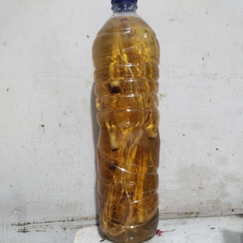 

ginseng herbal 1.5 liter asli