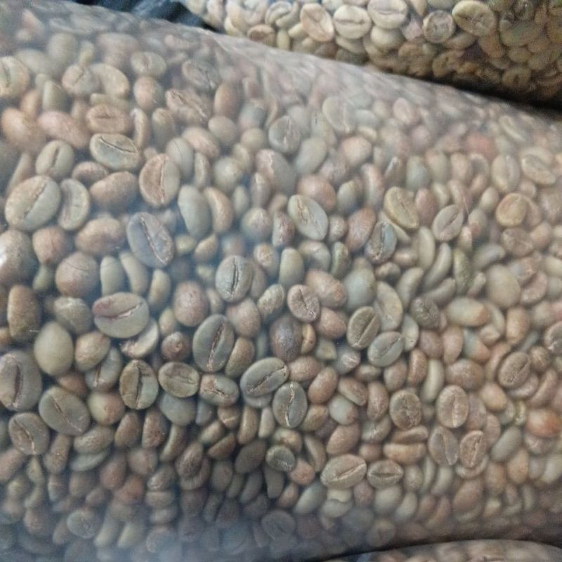 

KOPI ROBUSTA TEMANGGUNG fine grade A, 100% petik merah sudah d sortasi netto 1kg