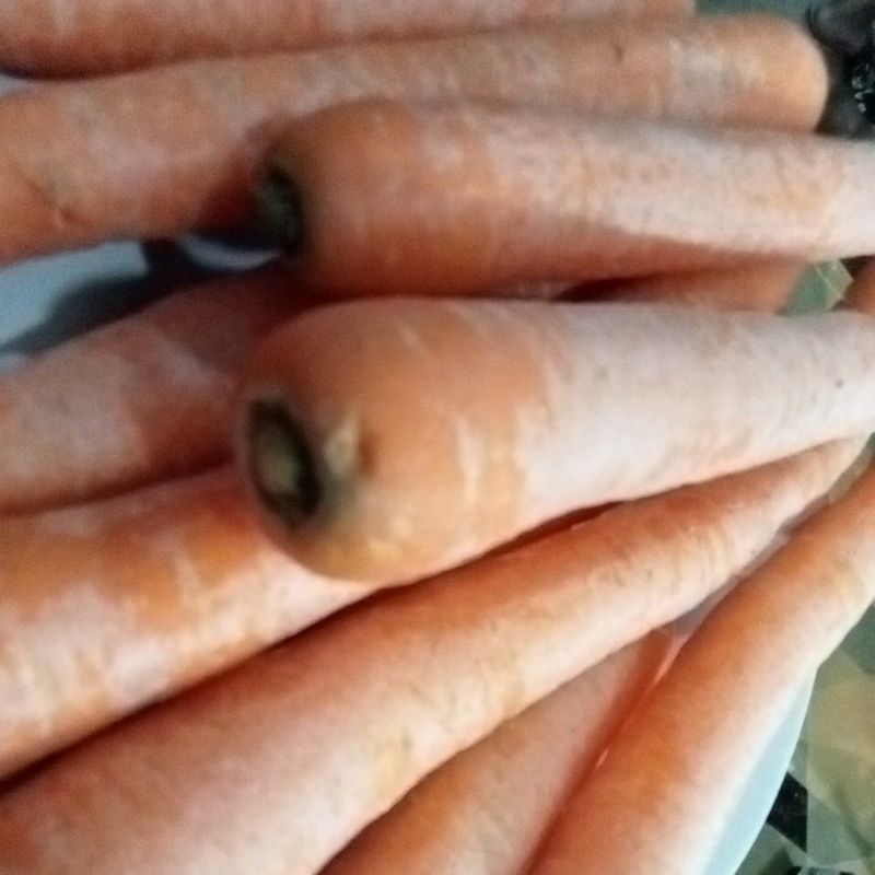 

RB Wortel Pilihan Fresh 1 Kg