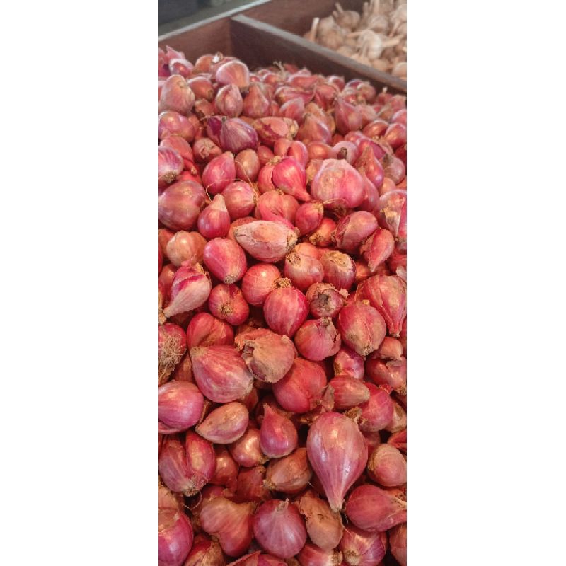 

Bawang merah lokal 250gr(banksayur)