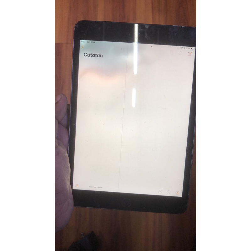 ipad mini 2