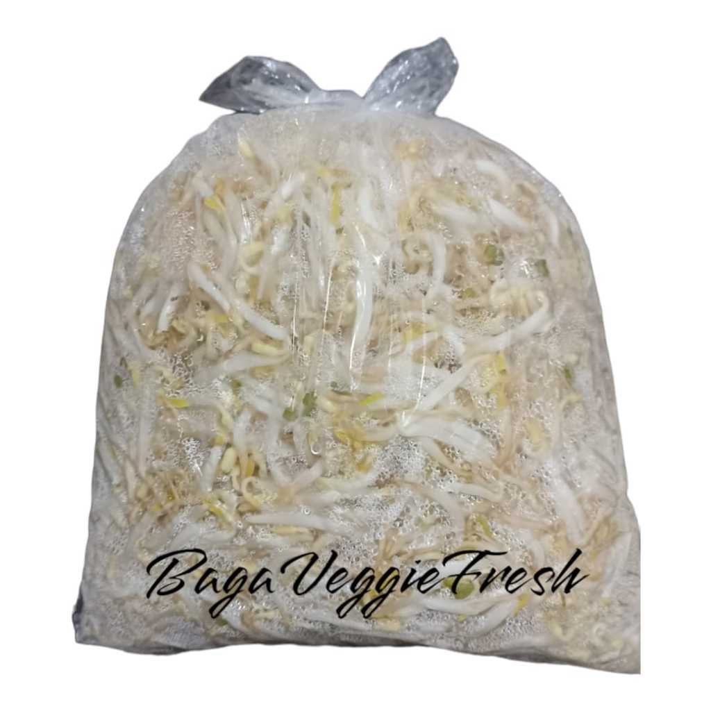 

Kecambah Panjang