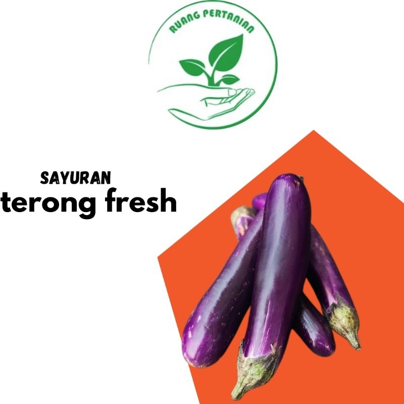 

Terong ungu panjang fresh segar per 500g