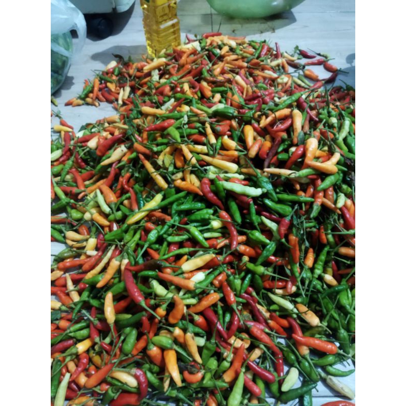 

cabe rawit merah