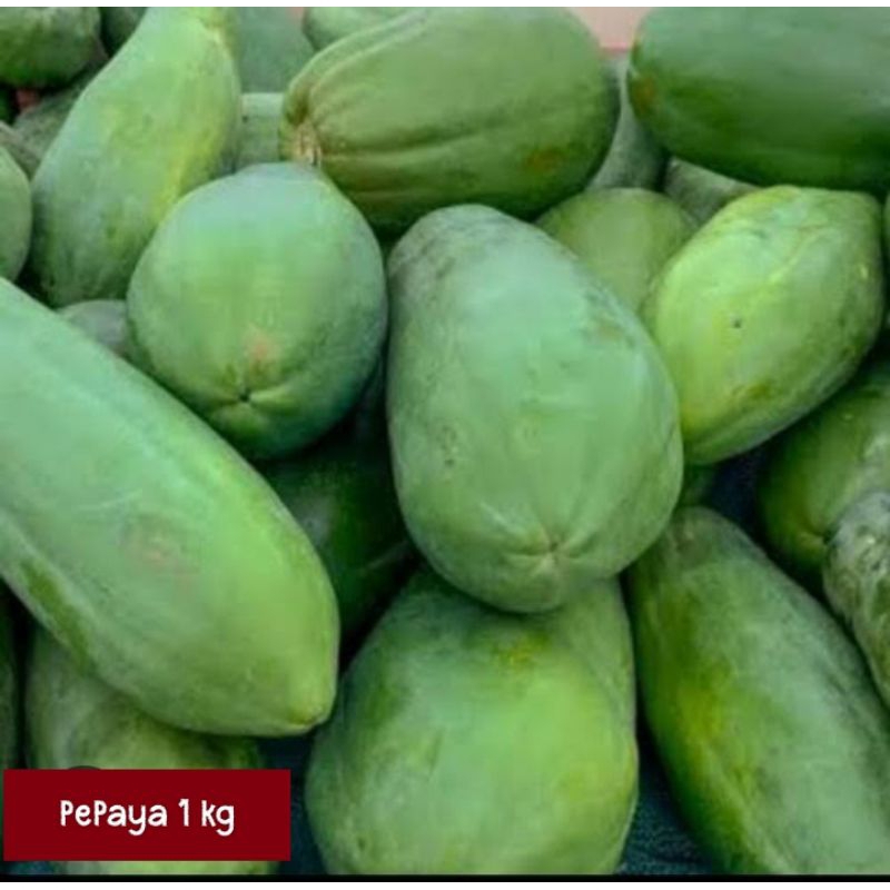 

PEPAYA MUDA, PEPAYA, BUAH PEPAYA MUDA , BUAH PEPAYA, PEPAYA MURAH