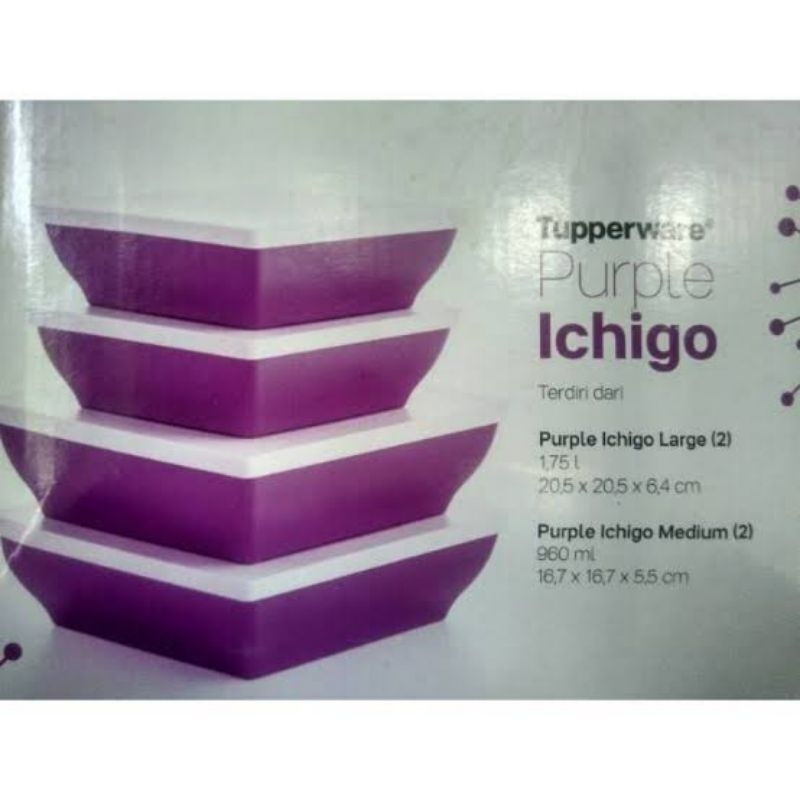 Big wonder/Ichigo set Tupperware/Warmie Tup Tupperware