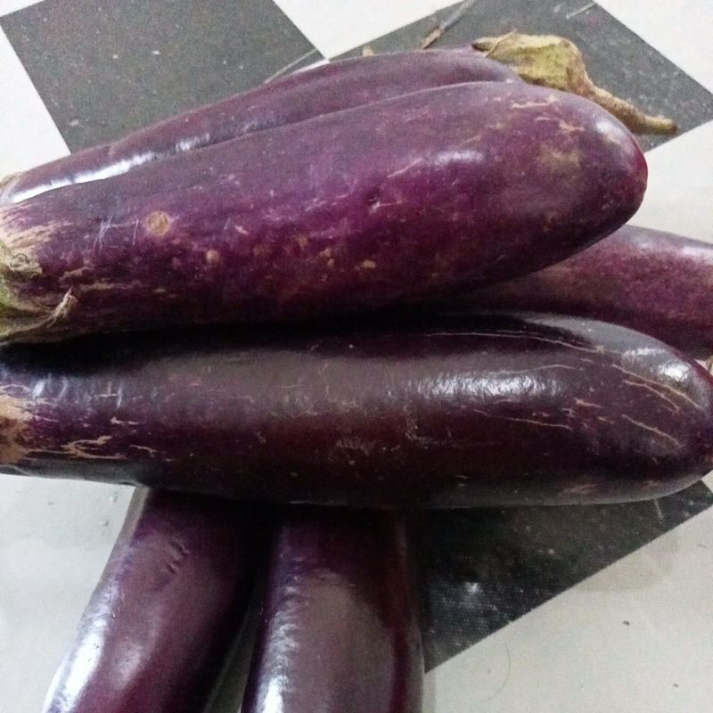 

Terong Ungu Pilihan Fresh 1KG