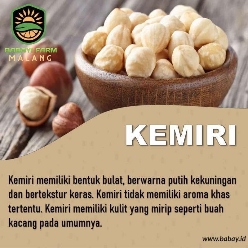 

KEMIRI KHAS LOKSADO.