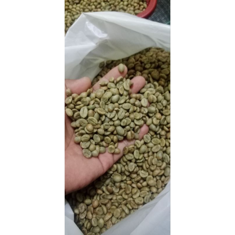 

green beans robusta temanggung 5kg