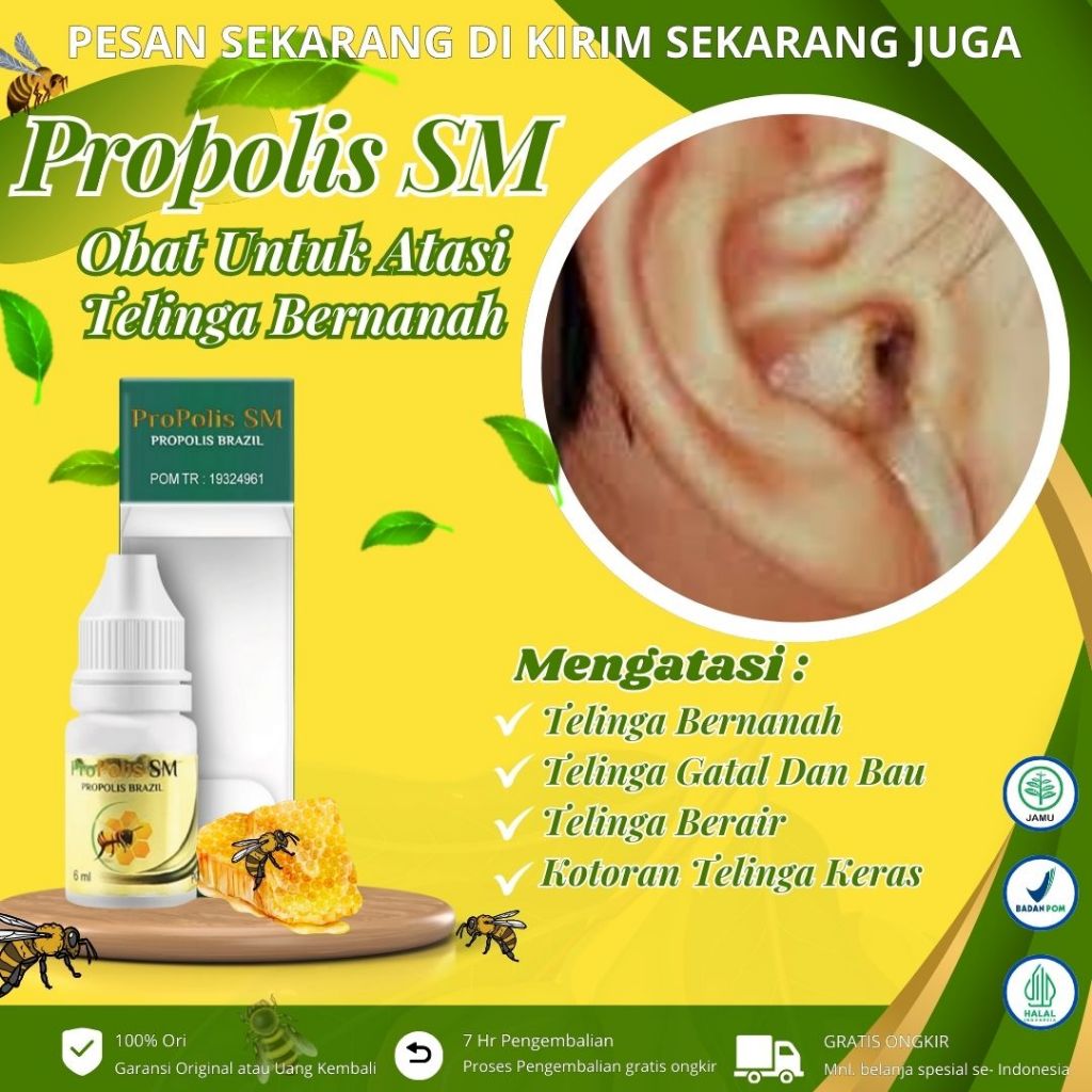 Propolis Sm - Obat Telinga Bernanah, Obat Telinga Congek, Obat Telinga  Bau Busuk, Obat Telinga Kelu