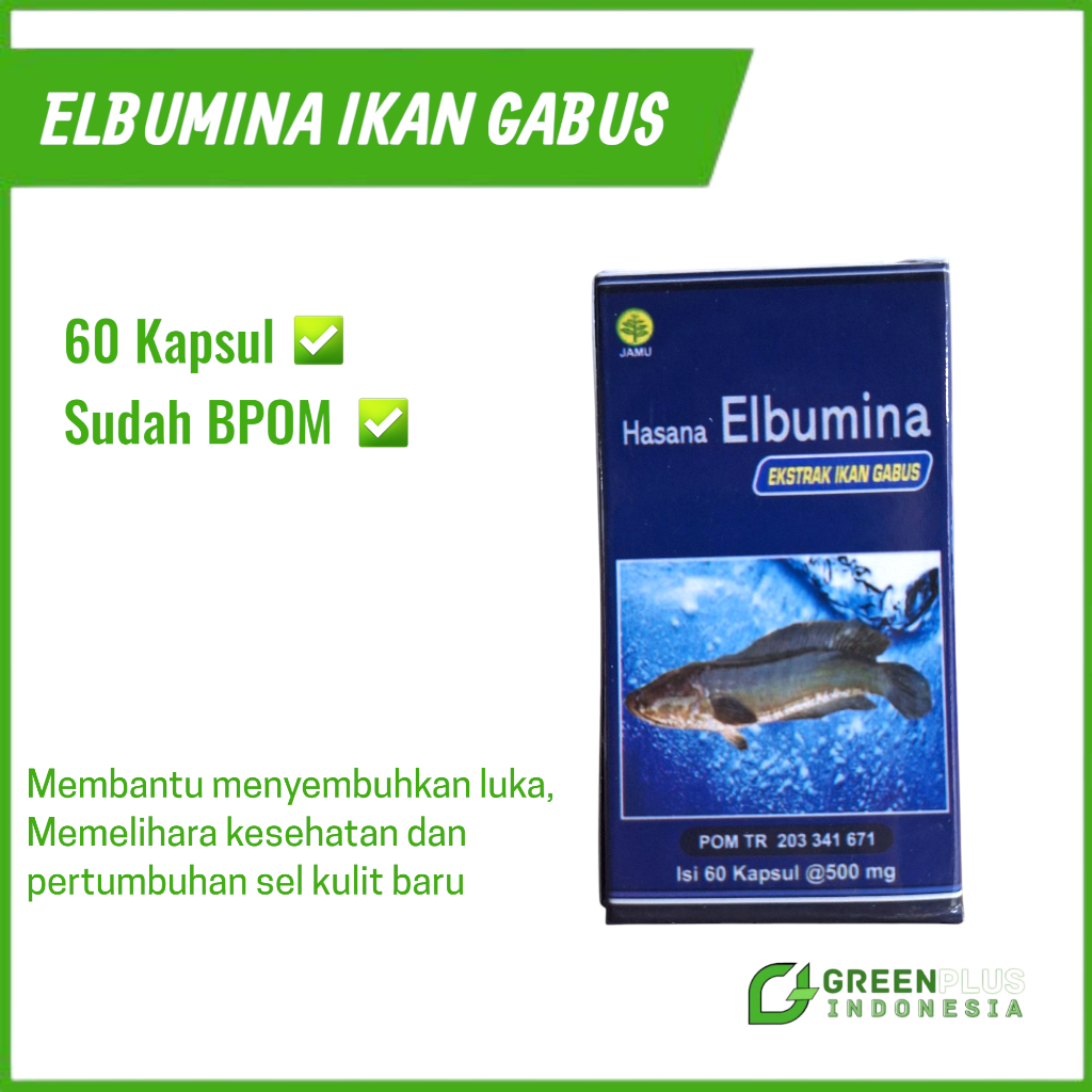 Elbumina Extra Ikan Gabus Albumin Ikan Gabus Original Membantu Penyembuhan Luka