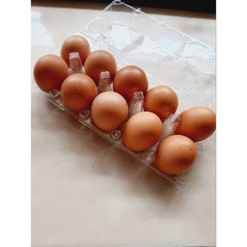 

Telur Omega 3 (Isi 10 butir)