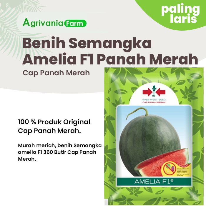 Benih Bibit Semangka Amelia F1 360 Butir  Non Biji Cap Panah Merah Original Pabrik Manis Tidak ada B