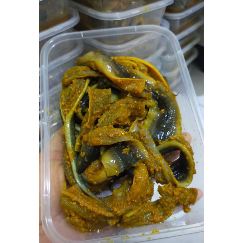 

Belut marinasi siap goreng / belut bumbu homemade / prohew mpasi