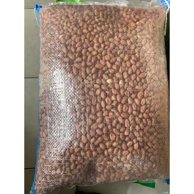 

I KARUNG KACANG TANAH Berat 4,95kg