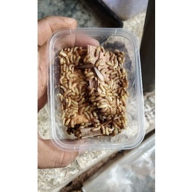 PUA/POA/WARANGAS/RANGAS/RENGAS/NONO/RAYAP UMPAN MANCING