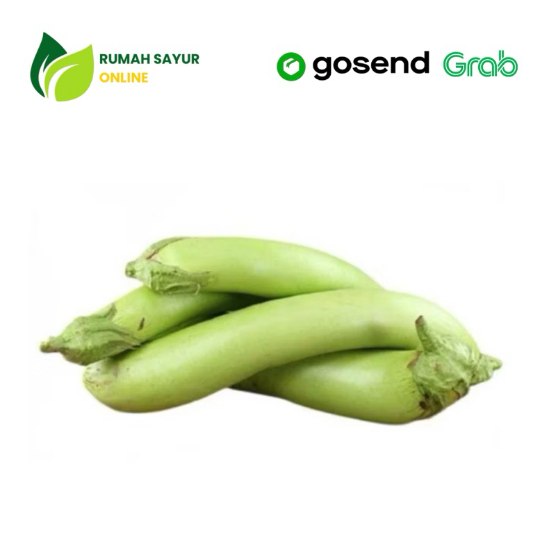 

Terong Hijau 500 g -1kg