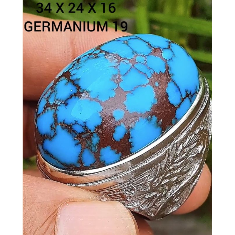 pirus Mesir lawasan super jenong montok