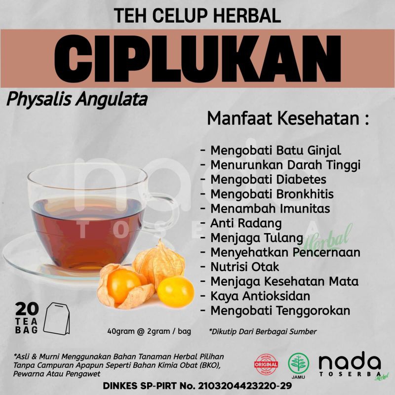 

Teh Celup Herbal CIPLUKAN Isi 20 Tea Bag | Hipertensi & Batu Ginjal | Physalis Angulata