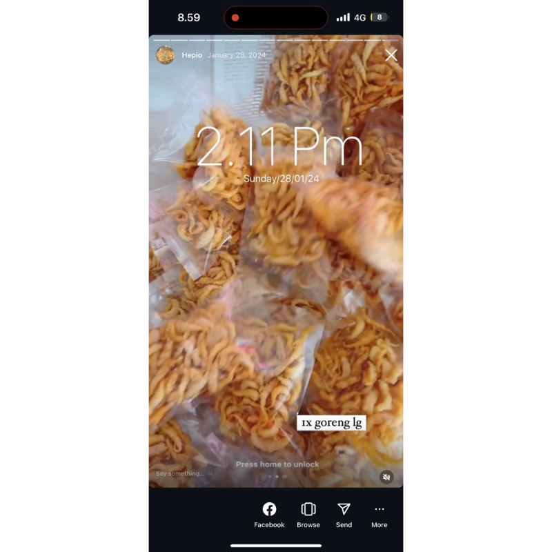 

gelembung perut ikan