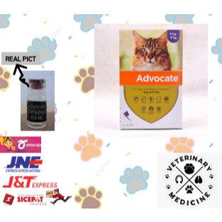 ADVOCATE CAT ADULT ORIGINAL SHARE PACK - Obat kutu kucing besar 4-8kg