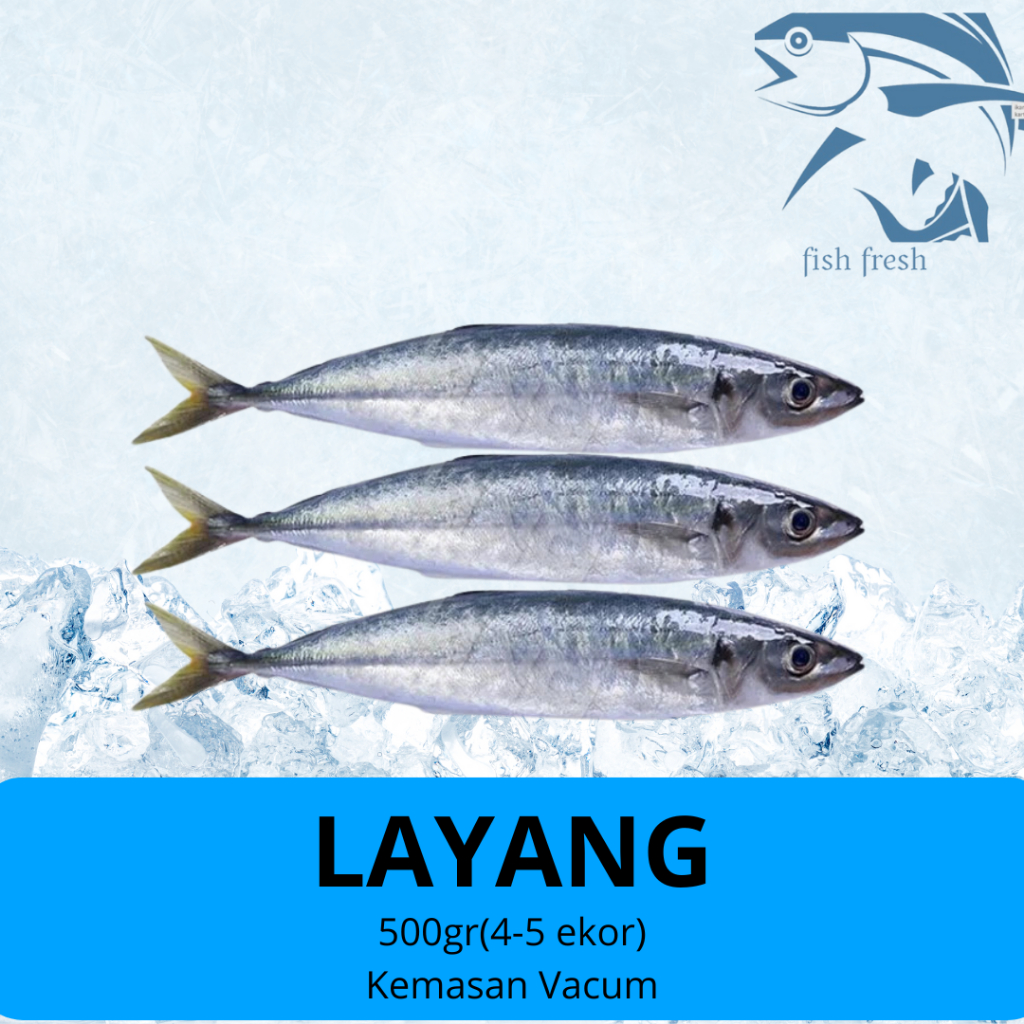 

IKAN LAYANG 500 GR FROZEN KUALITAS SEGAR