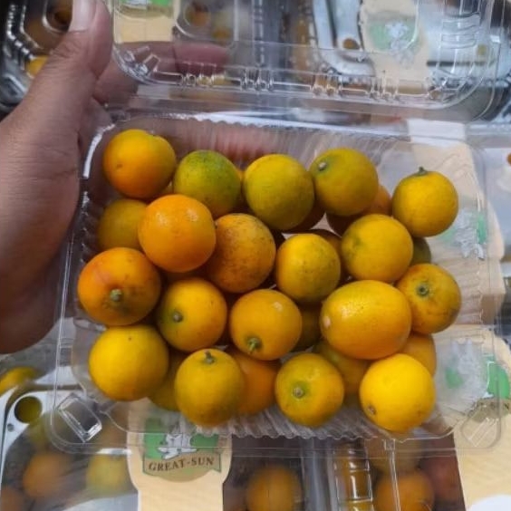 

Jeruk Kimkit Madu