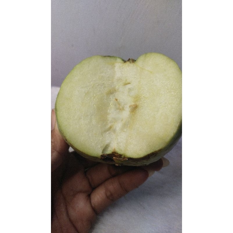 

Buah Jambu Kristal Non Biji Grade A 1 kg isi 3 s/d 4