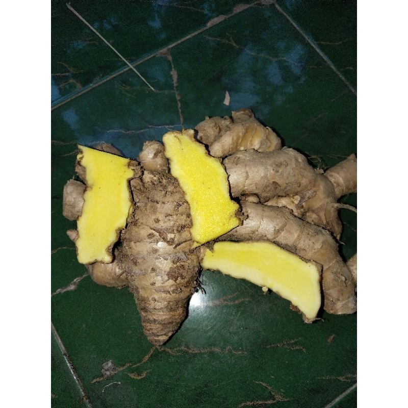 

10 kg temu mangga/ temu putih.