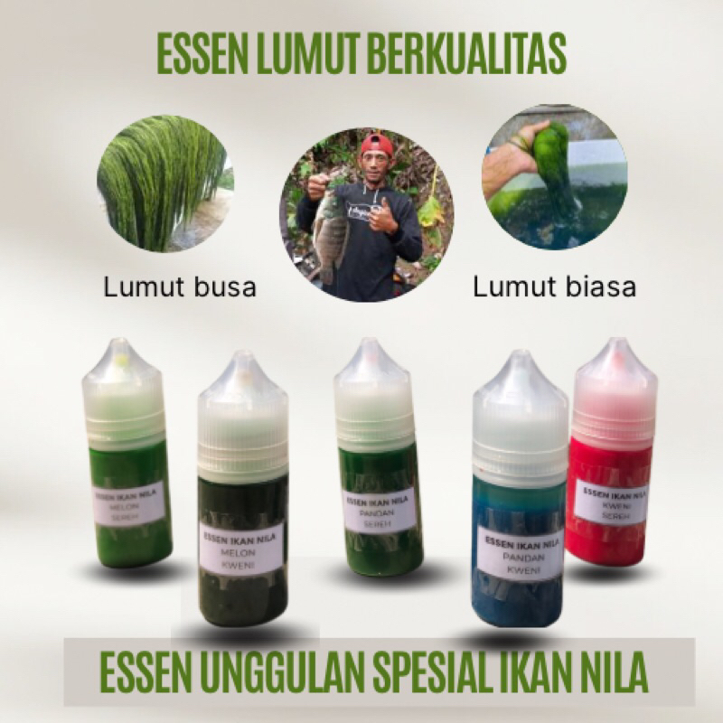 Essen lumut berkualitas spesial ikan nila/mujair