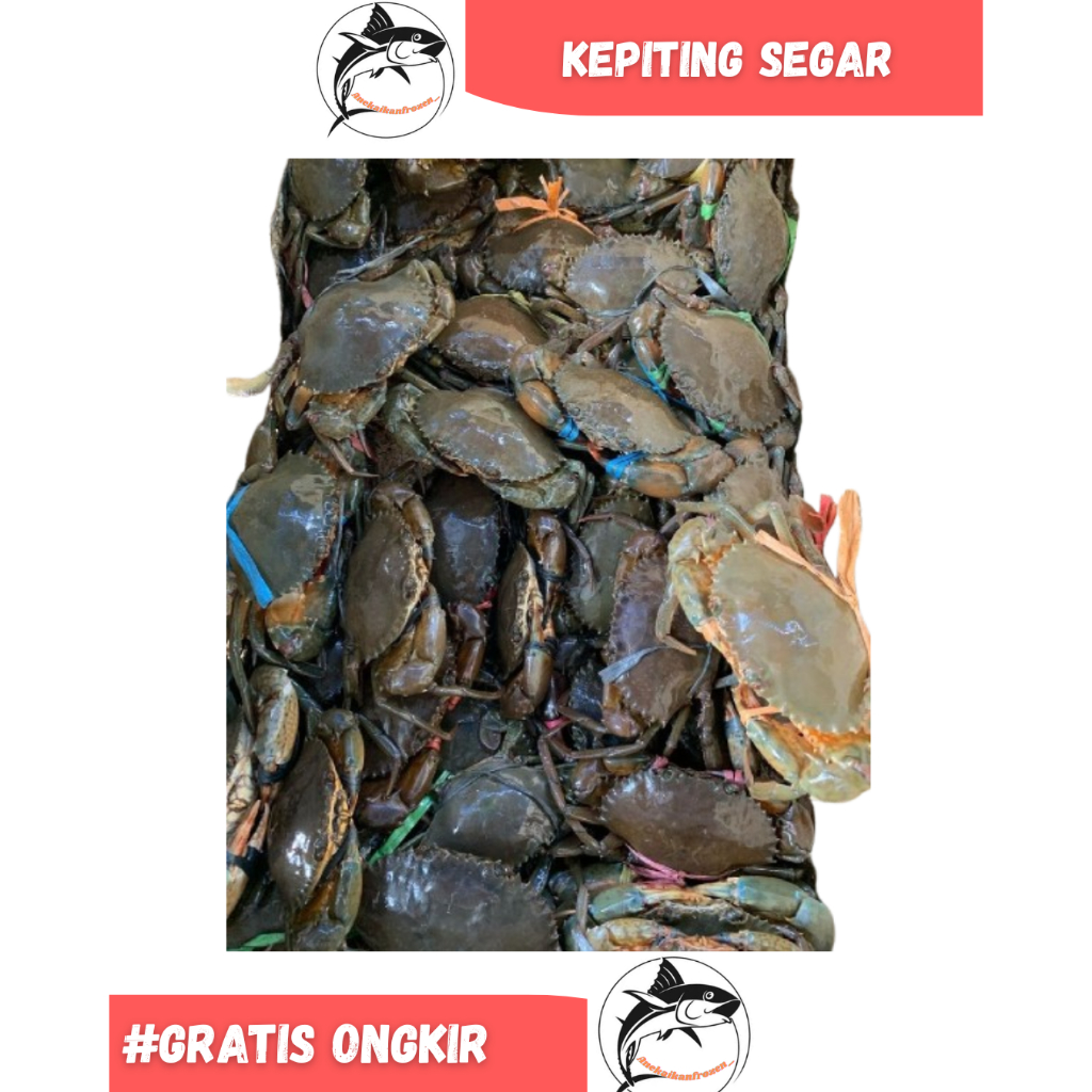 

Pree order / Po kepiting hidup seafood segar 1kg