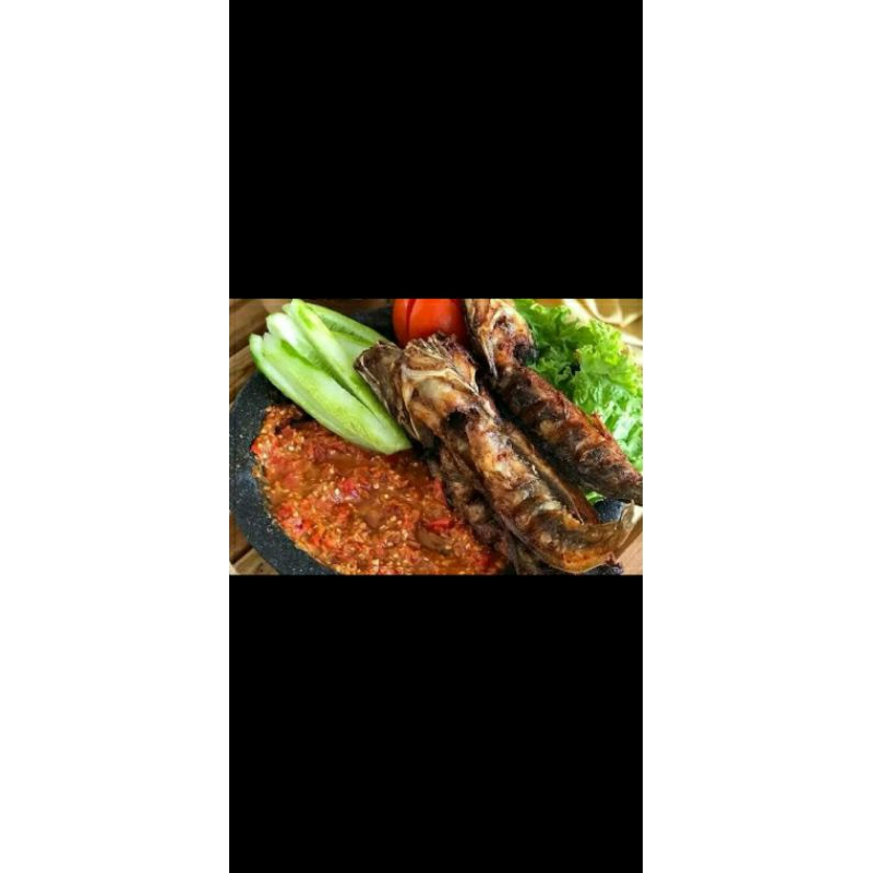 

[PAWONLAWUHAN] LELE GORENG SAMBEL LAMONGAN