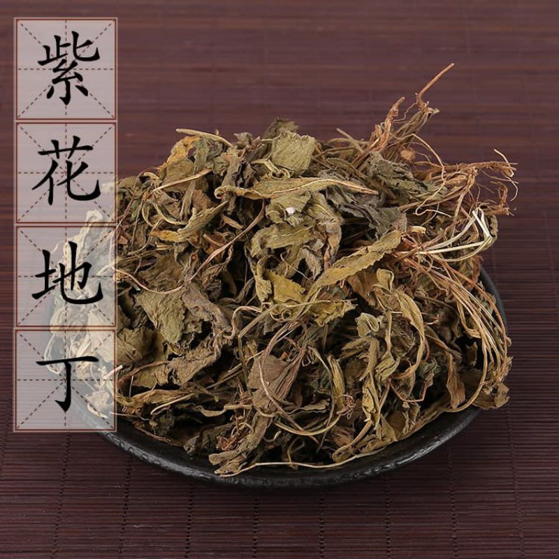 

Zi Hua Di Ding Cao/紫花地丁草/Herba Violae/Viola yedoensis