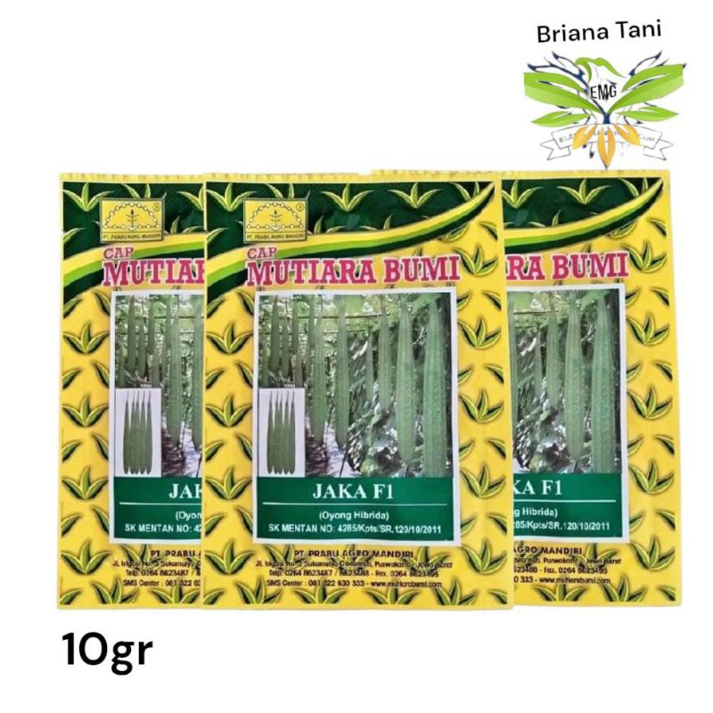 Jaka F1 10gr Benih Oyong Gambas Hibrida Mutiara Bumi Azura