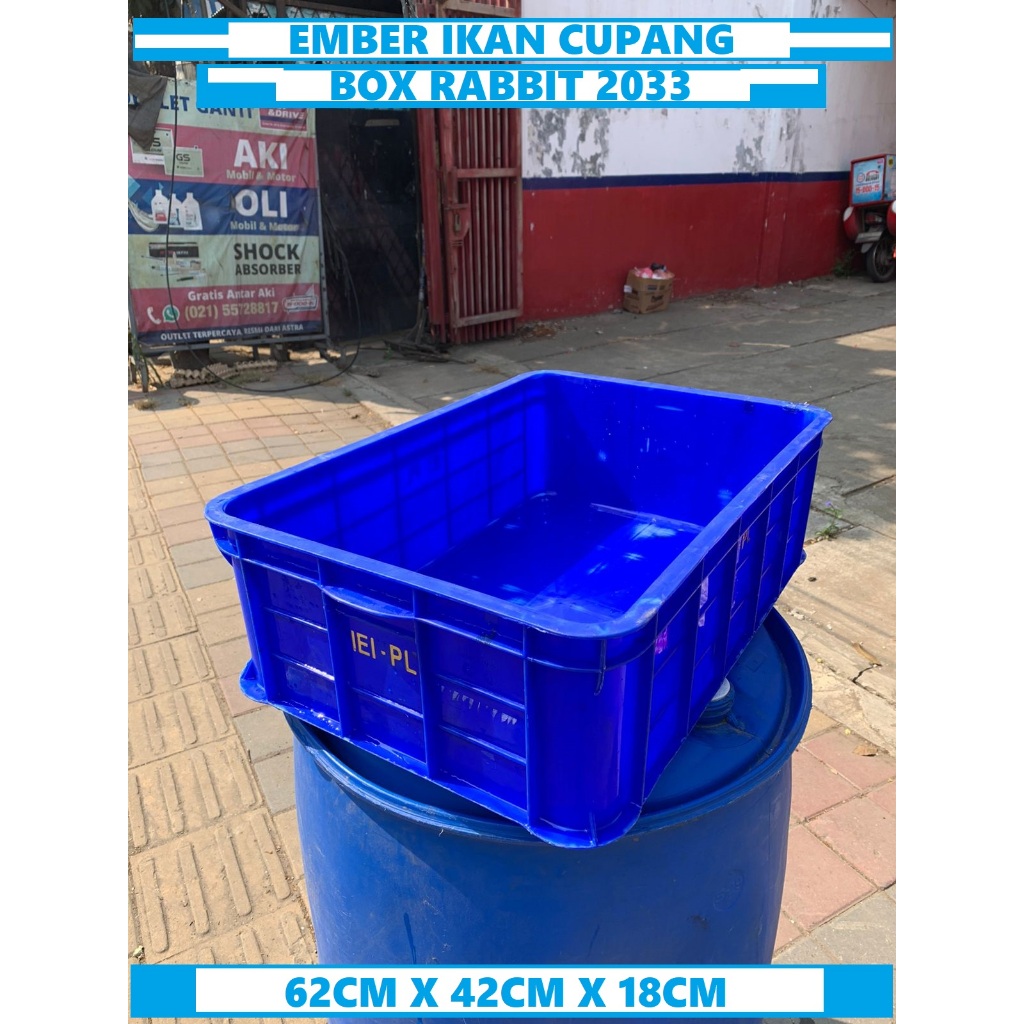 Bak Magot Bak Ikan / Bak Kura Kura / Box Rabbit 2033 Box Plastik Rapat  Ukuran : Panjang 62cm Lebar 