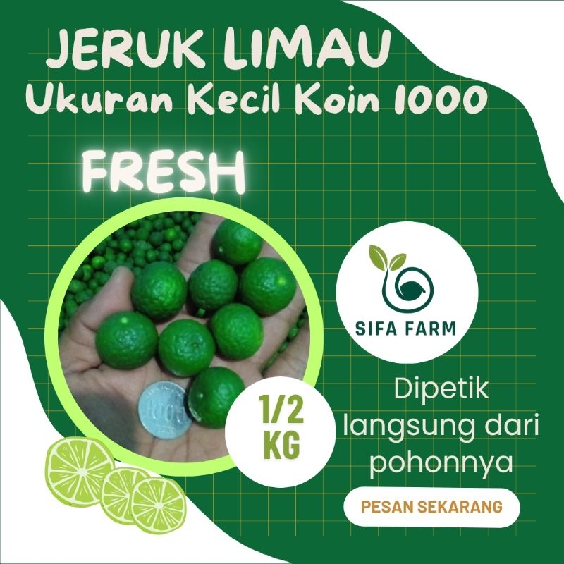 

Sifa Farm Jeruk Limo | Limau ukuran kecil 1/2 Kg Fresh