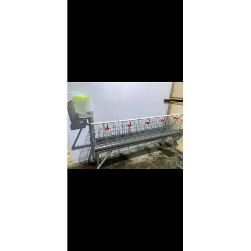 kandang ayam galvanis untuk ternak skala rumahan 4pintu isi 4ekor ayam