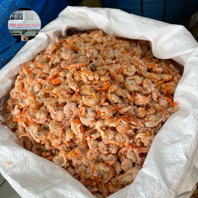 

Udang Ebi Kering Kualitas Premium