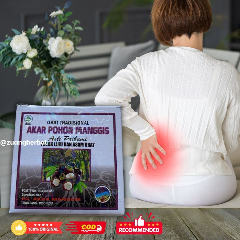 

Akar Pohon Manggis / Kapsul Original 100%