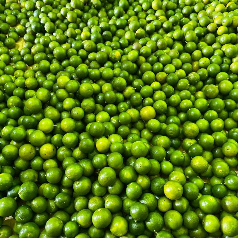 

Jeruk sonkit jeruk kasturi 1kg