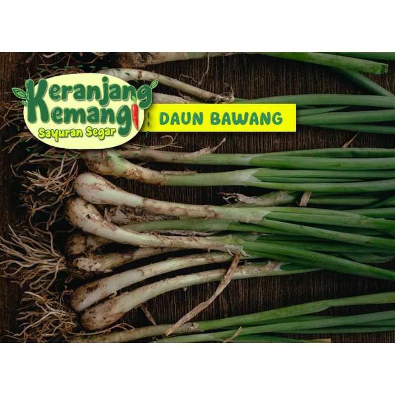 

Daun Bawang Segar