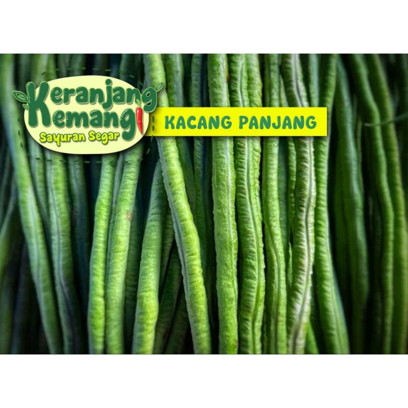 

Kacang Panjang