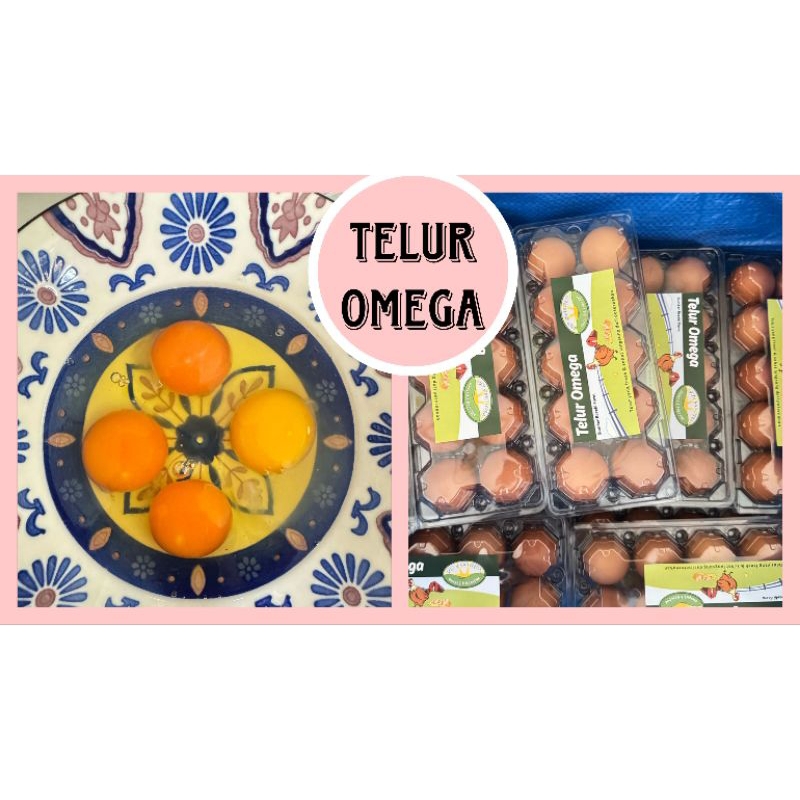 

Telur Omega 3,6,9 + dha dan low cholesterol