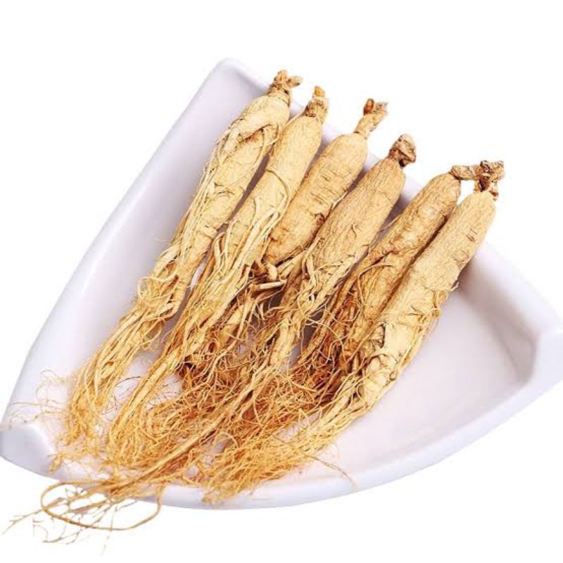 

Sheng Sai Ren Shen (Besar)/ 生晒人参 (Besar)/ 100gr