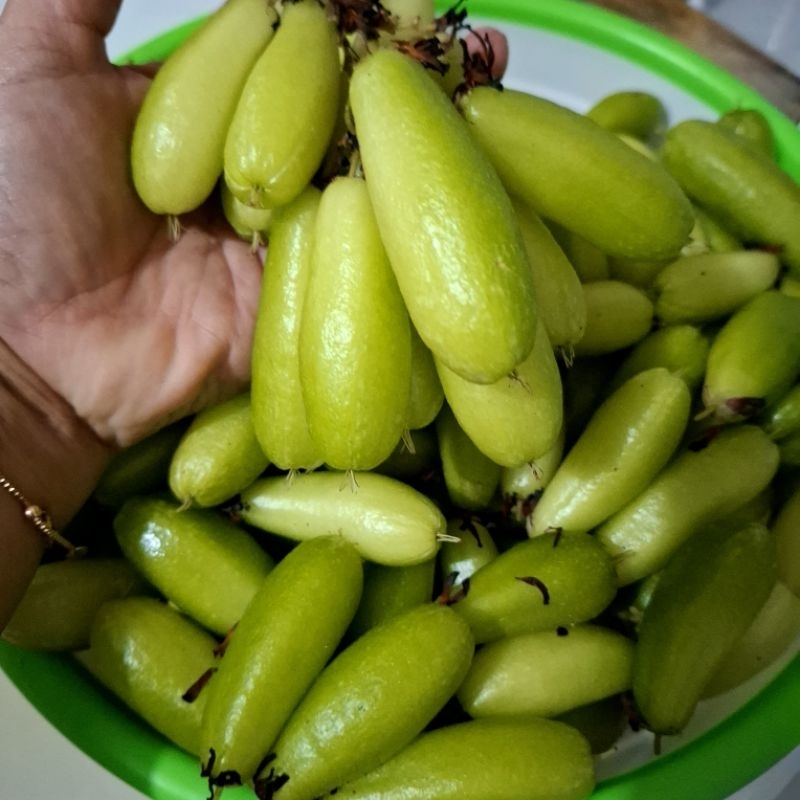 

Belimbing wuluh/sayur segar 250gr