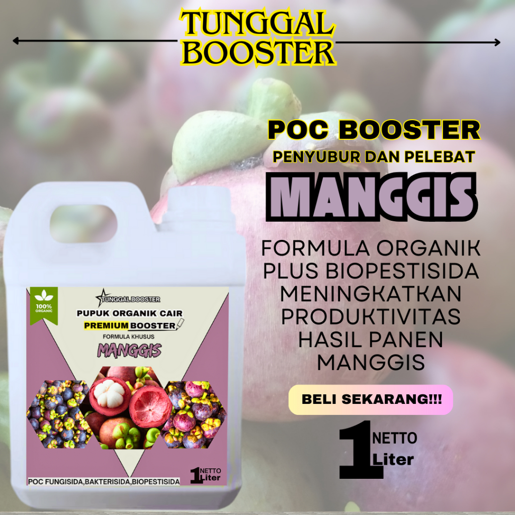 Pupuk Organik Cair Tanaman Manggis/Pelebat Buah Manggis/Buah Manggis Berbuah Lebat Premium 1Liter