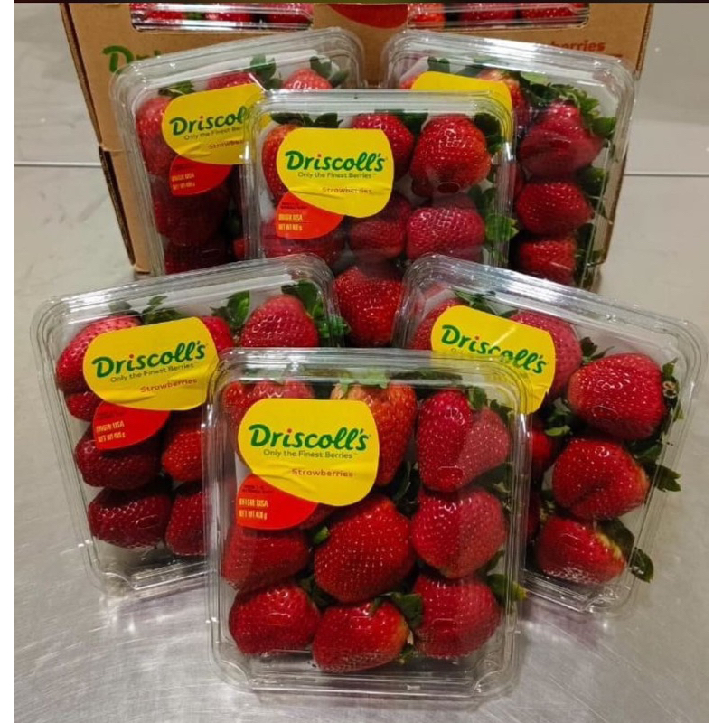 

Strawberry Jumbo Driscolls USA