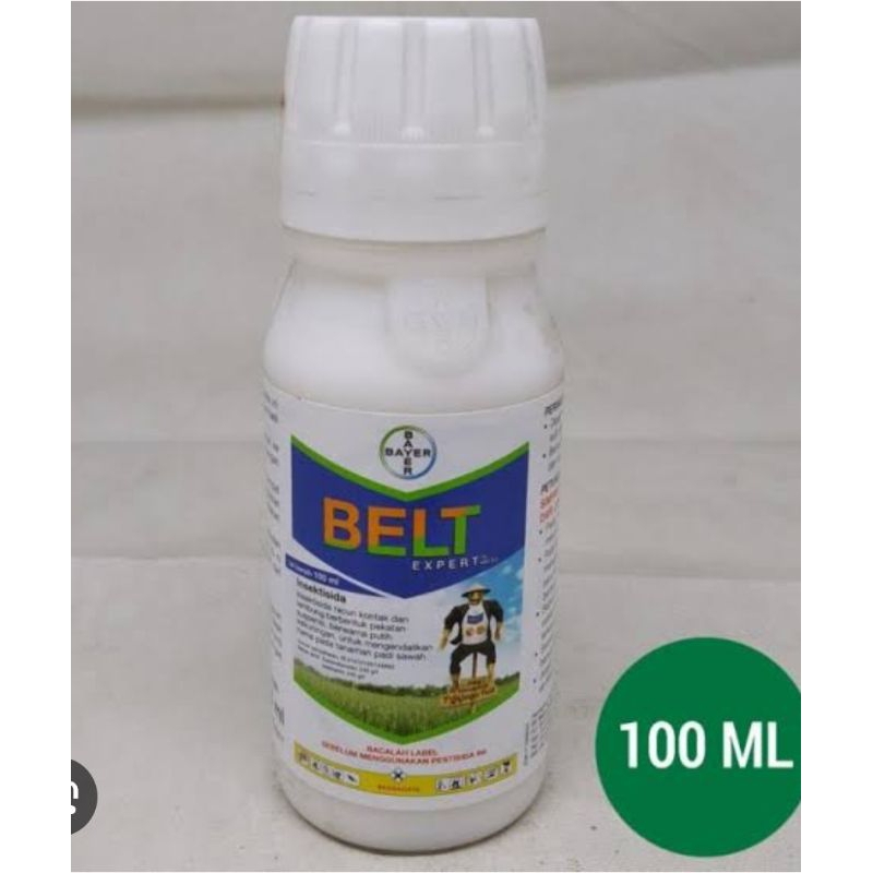 BELT expert 480sc 100ml