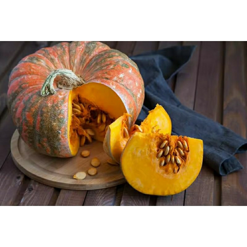 50 biji benih labu kuning waloh madu superan bibit unggul siap tanam